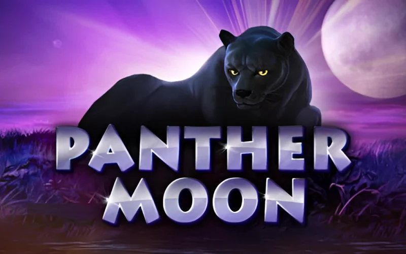 Não perca sua chance sob a lua no Booi Cassino Panther Moon.