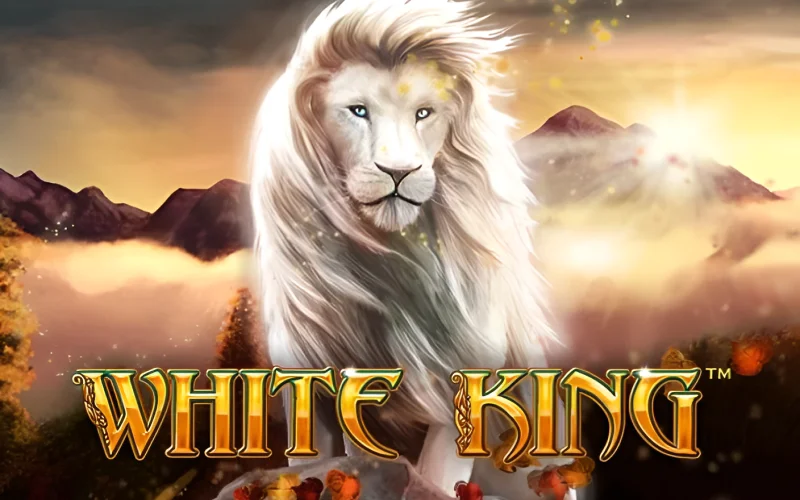 O único rei é você no jogo White King em Booi Cassino.
