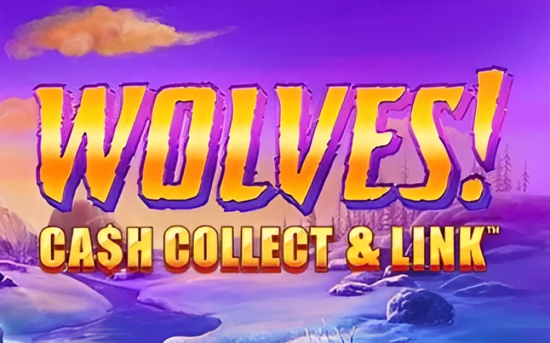 Colete dinheiro e vincule no jogo Wolves! Cash Collect & Link do Booi Cassino.